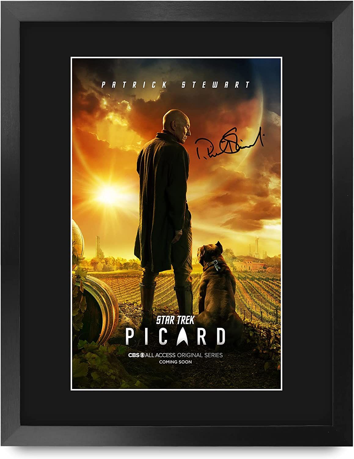 HWC Trading Framed Picard Print is one of the best Star Trek collectibles
