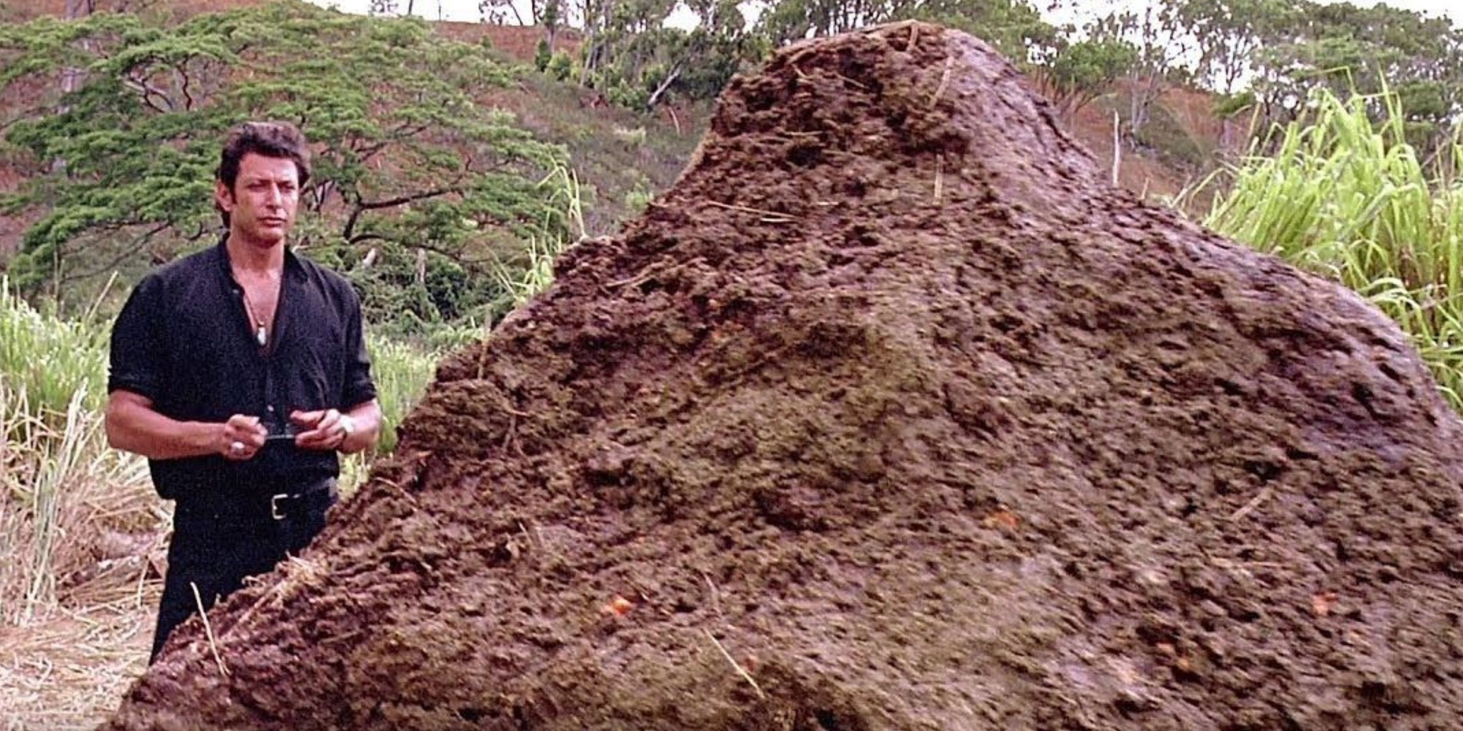 Ian Malcolm looking at the pile of dinosaur droppings in Jurassic Park