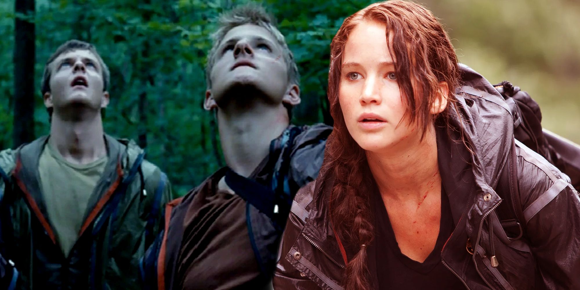 why-the-careers-didn-t-burn-down-katniss-tree-in-the-hunger-games