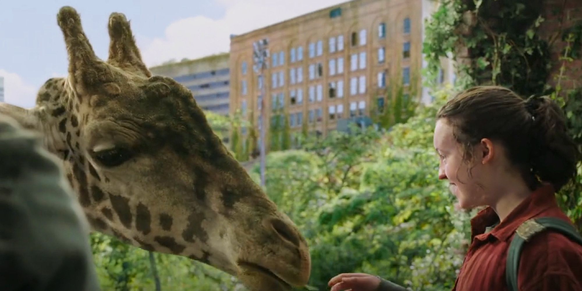 Ellie smiling and feeding a giraffe in The Last of Us episode 9
