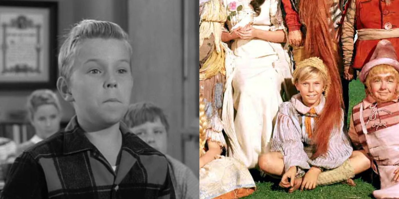 Uma imagem dividida de Stanley Fafara em Leave it to Beaver e The Wonderful World of the Brothers Grimm