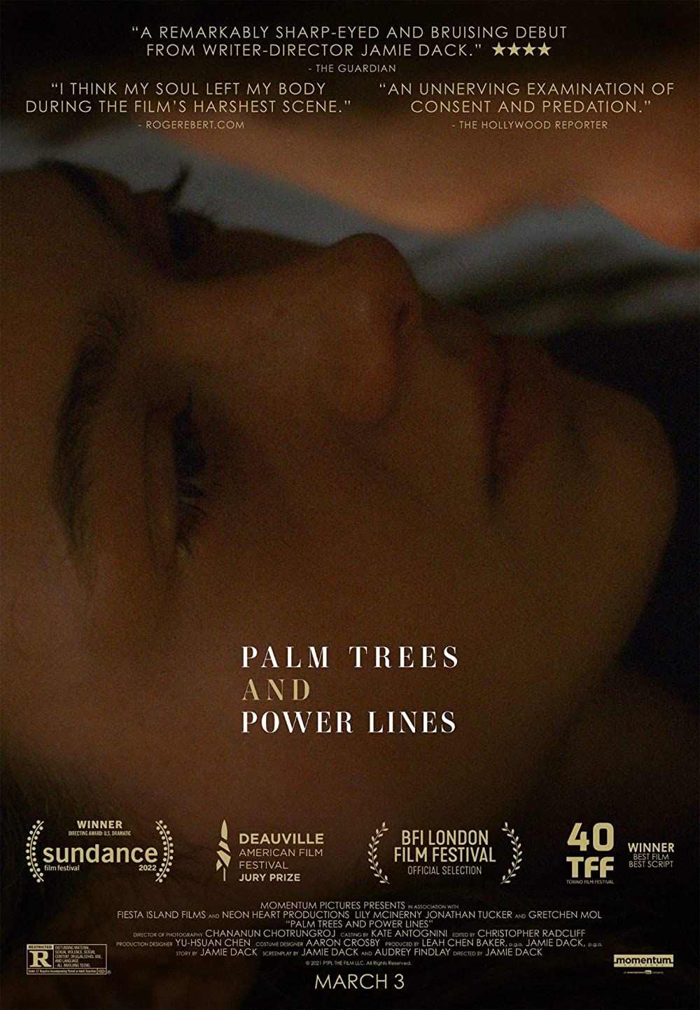 Palm Trees and Power Lines Movie Poster