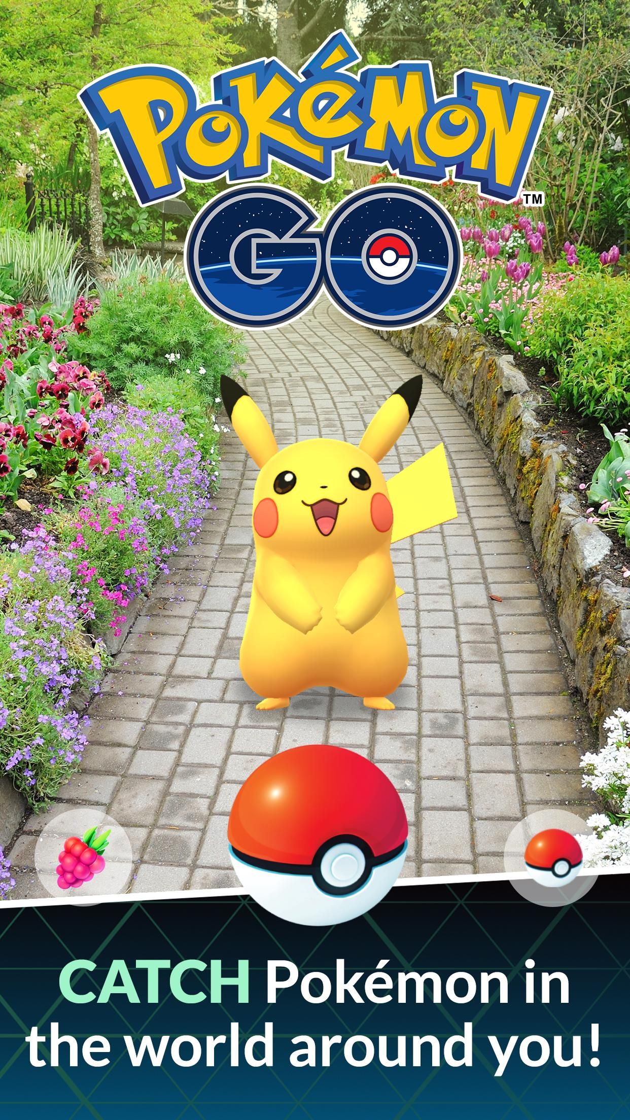 Pokemon Go Game Poster