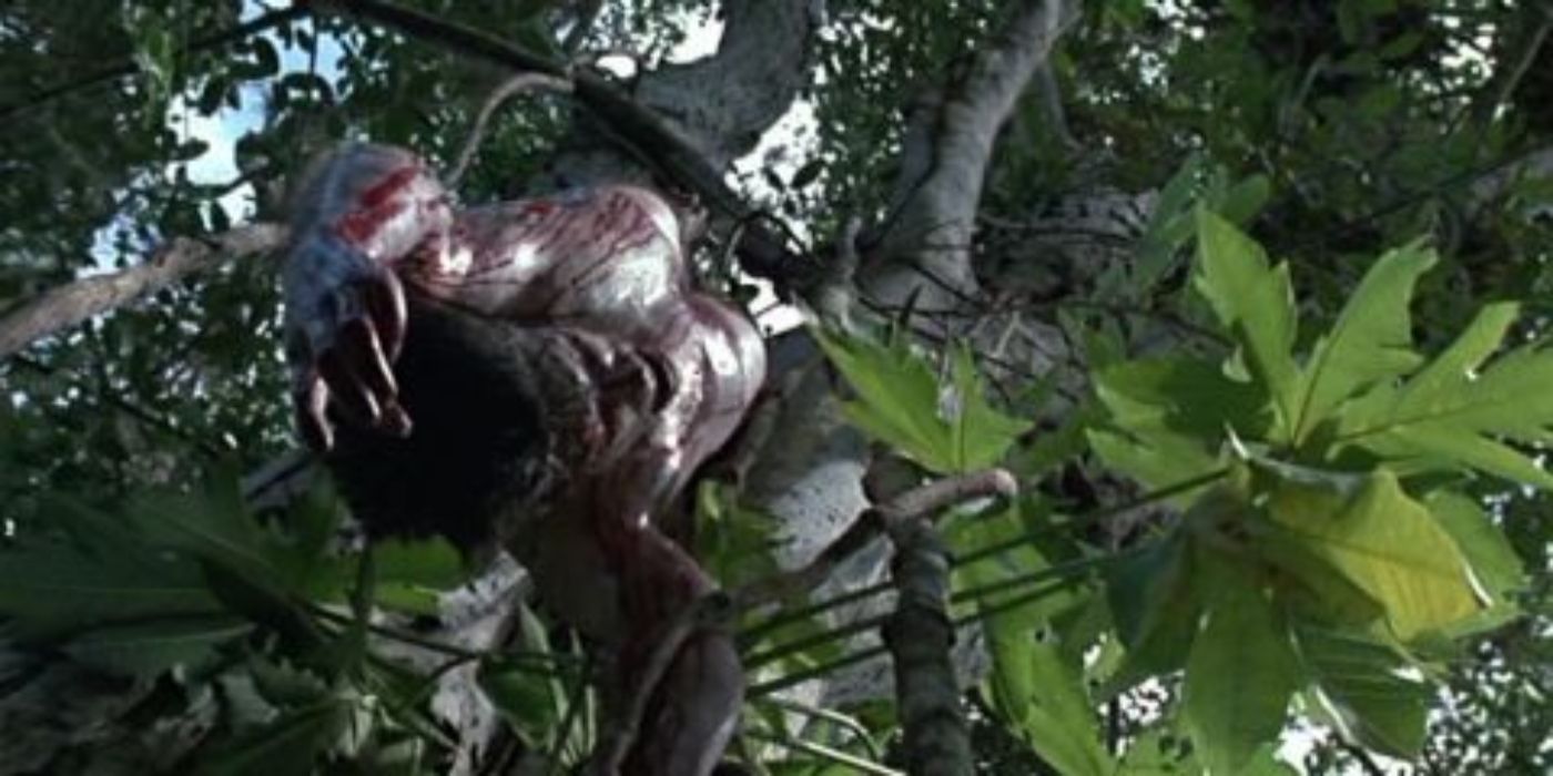 Predator victim.