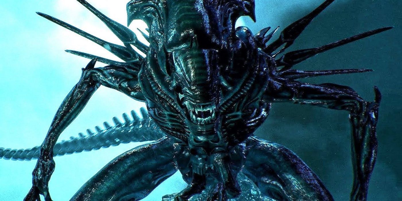 Alien S Xenomorph Queens Have A Horrific Final Fate The Movies Ignore