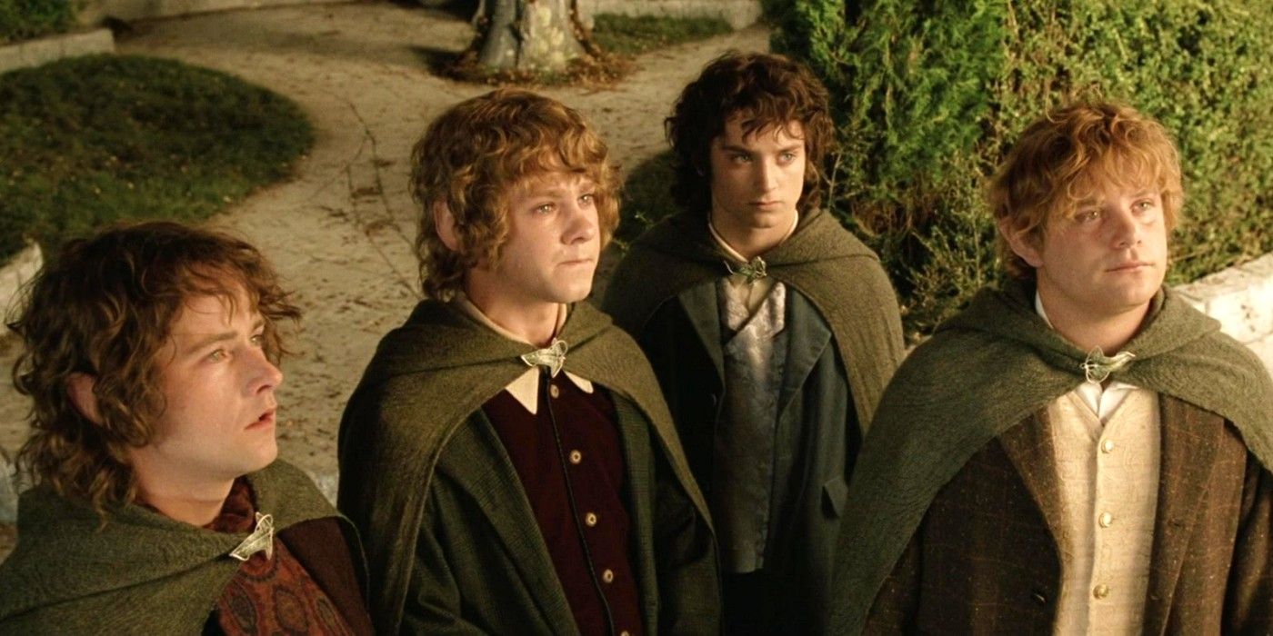 Sam, Frodo, and their two friends looking at Gandalf in The Lord of The Rings