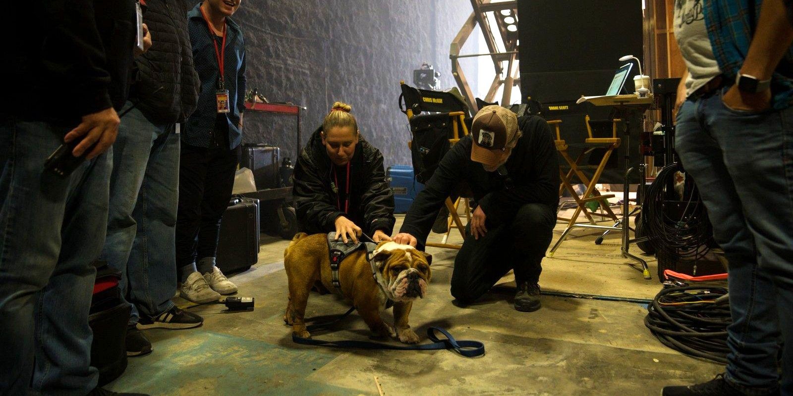 Screen Rant Renfield Set Visit Crew Rescued Dog