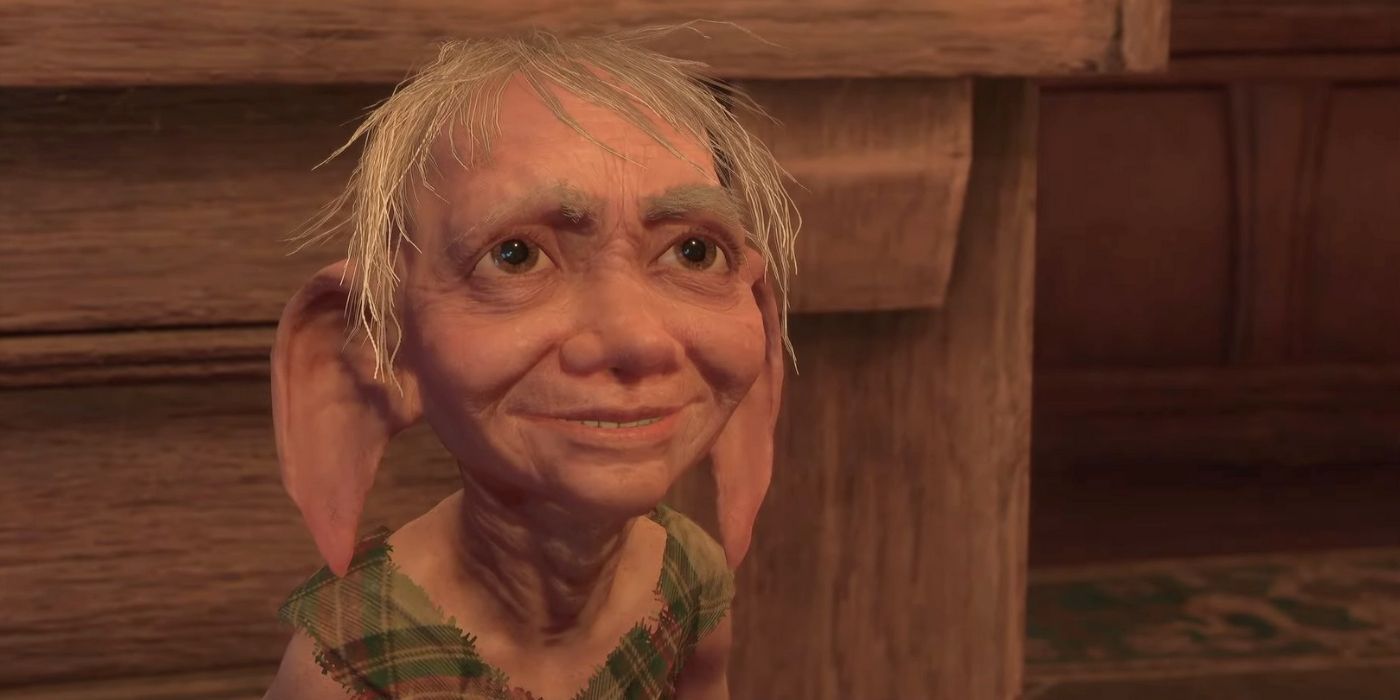 Penny the House-elf in Hogwarts Legacy, looking up towards the camera and smiling.
