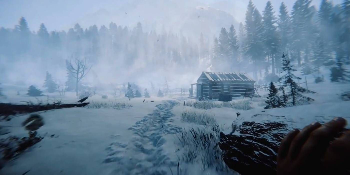 Sons of the Forest Winter Months in the Forest with Dangerous Frostbite Condition Unless Players have Winter Jacket