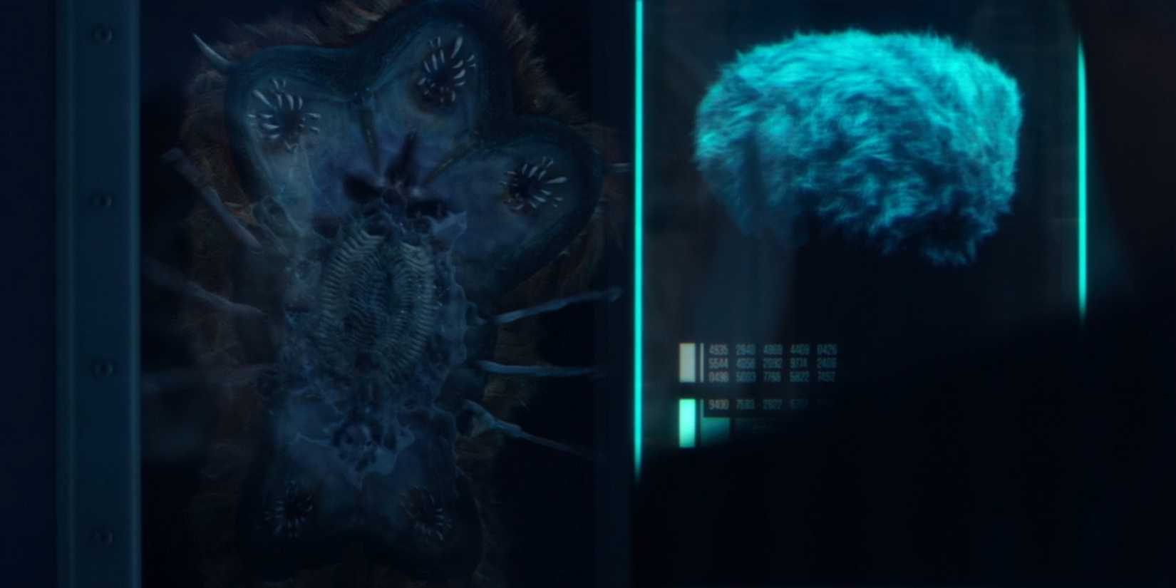 Worf faces the Attack Tribble in Star Trek: Picard season 3, episode 6