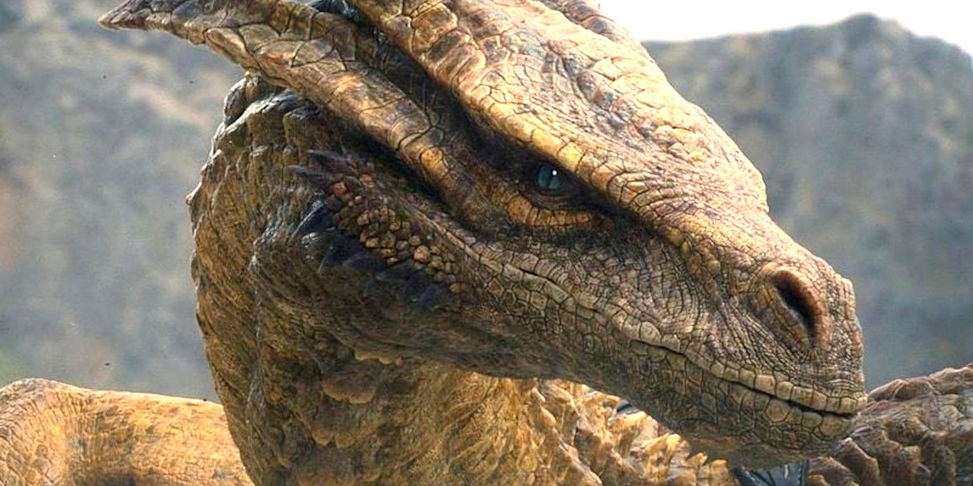 Meet The 5 New Dragons on Season 2 of House of the Dragon 