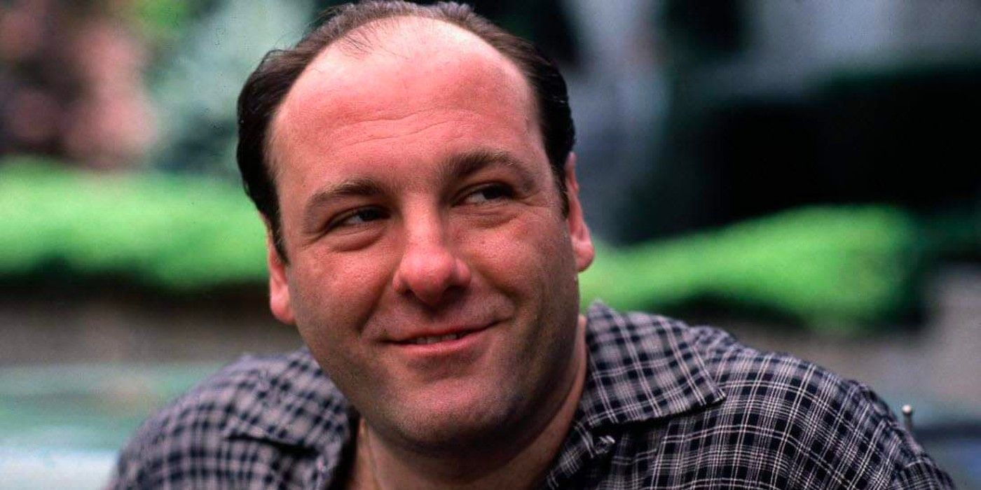 Tony Soprano smiling in The Sopranos