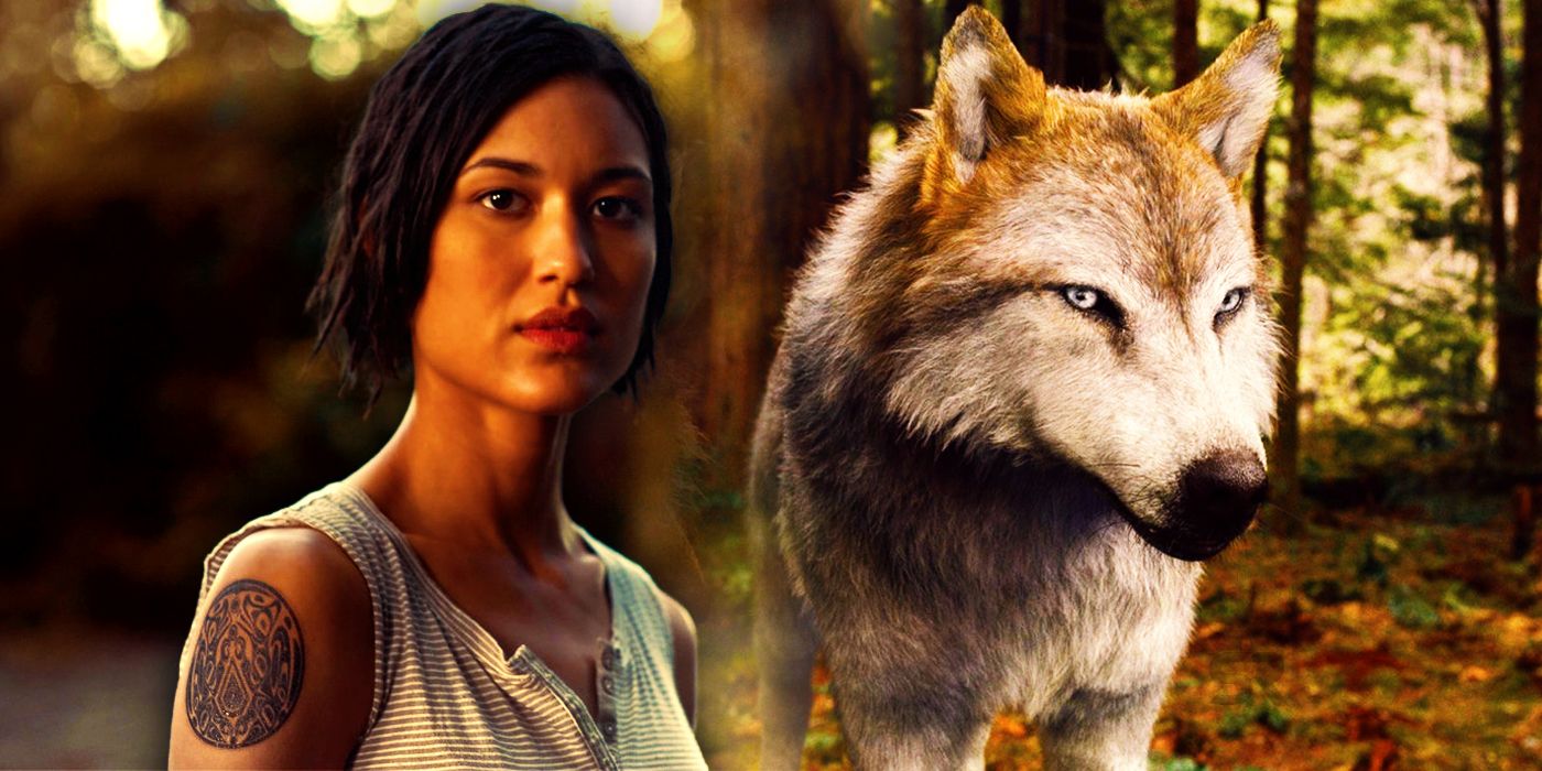 Twilight Leah Clearwater human and wolf