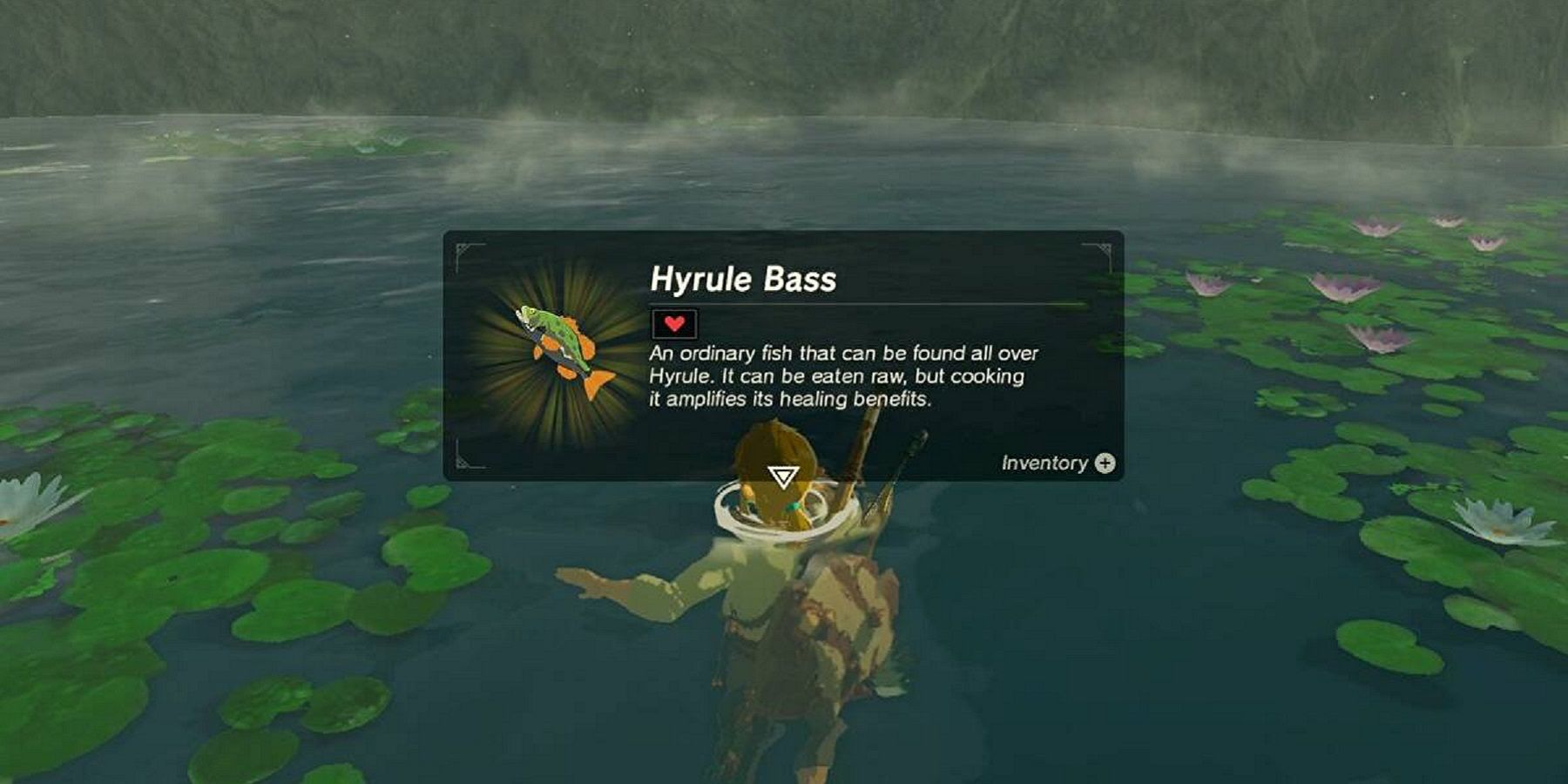 Link catching a Hyrule Bass in The Legend of Zelda Breath of the Wild