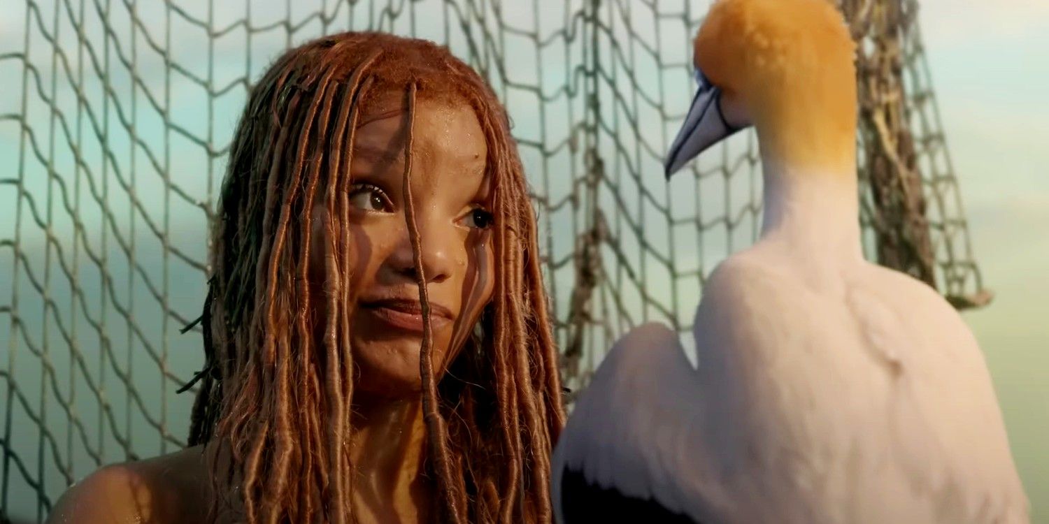 Ariel talking to a seagull in The Little Mermaid live-action remake