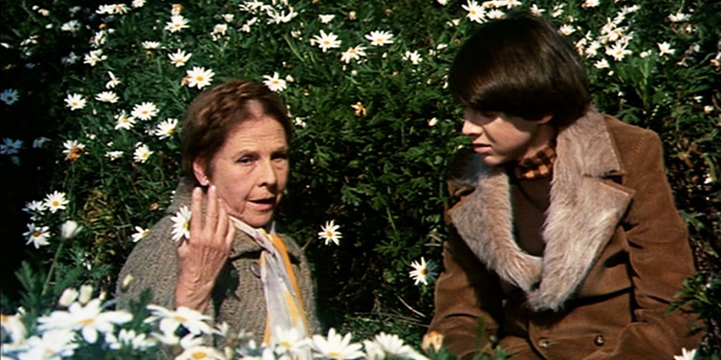 Harold e Maude em um campo em Harold e Maude