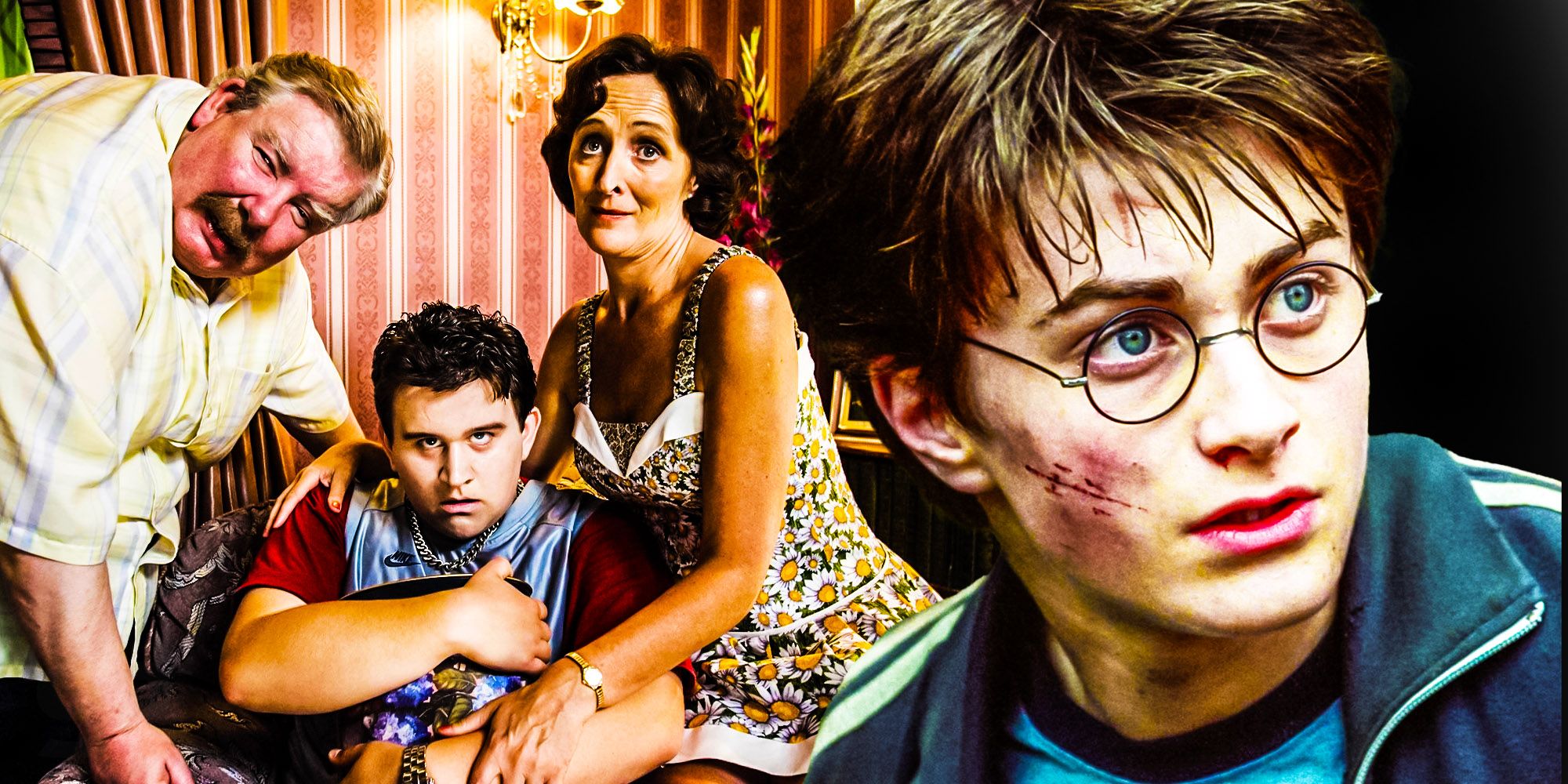 A collage features Vernon, Dudley, and Petunia Dursley after Dudley is attacked by a Dementor in Harry Potter and the Order of the Phoenix and Daniel Radcliffe s Harry Potter