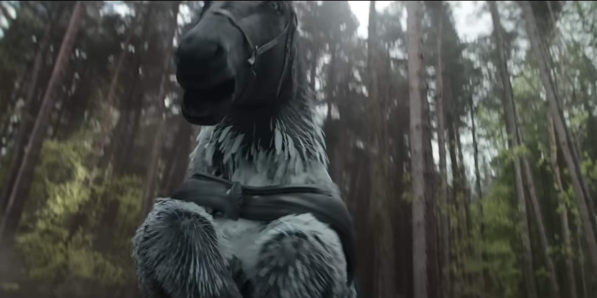 horse dungeons dragons
