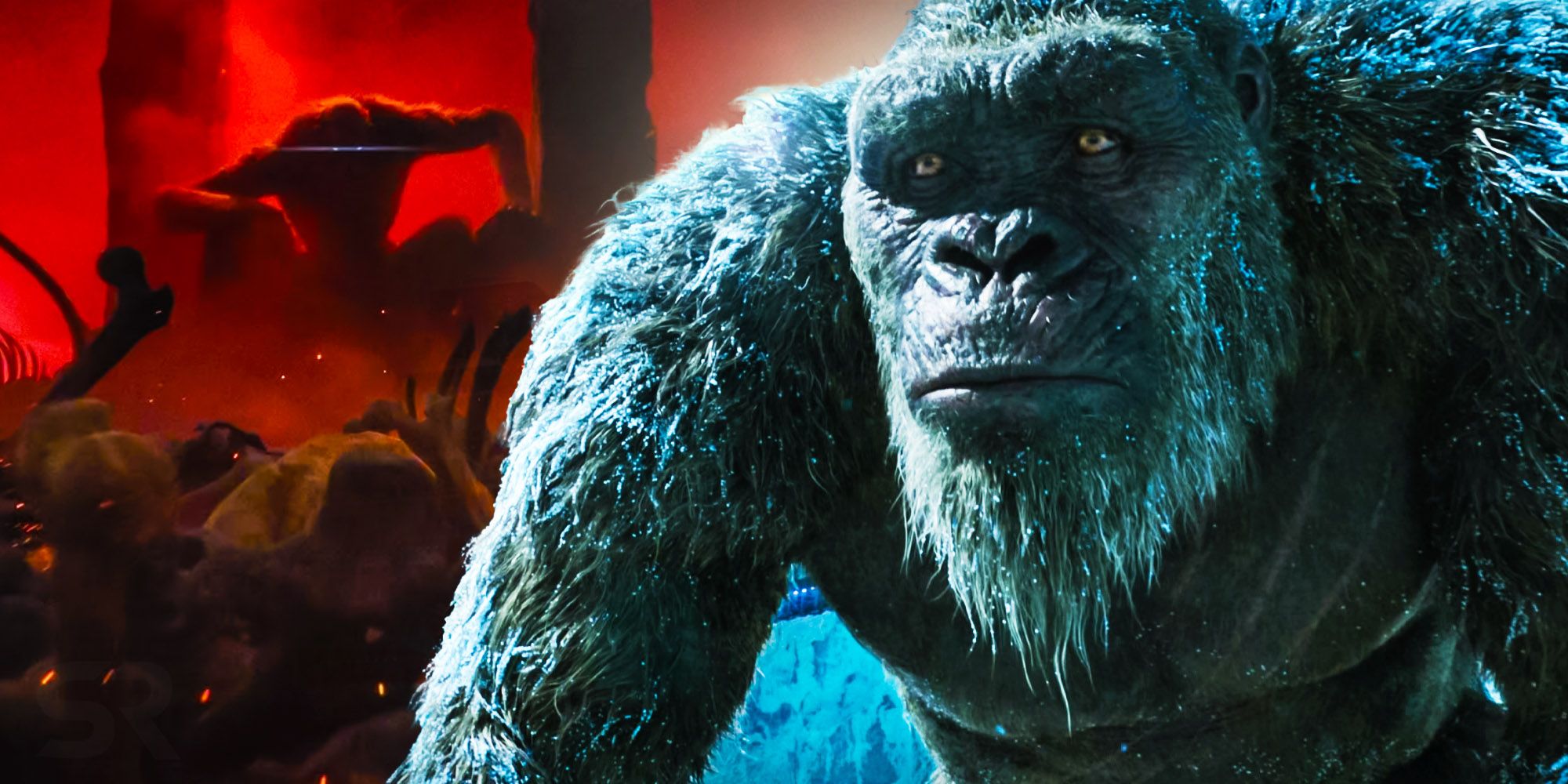 Kong teaser sales