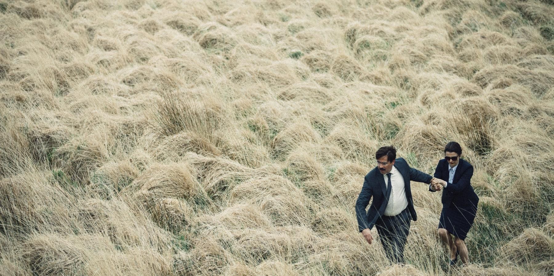 David (Colin Farrell) and the Shortsighted Woman (Rachel Weisz) trekking through a field inn The Lobster.
