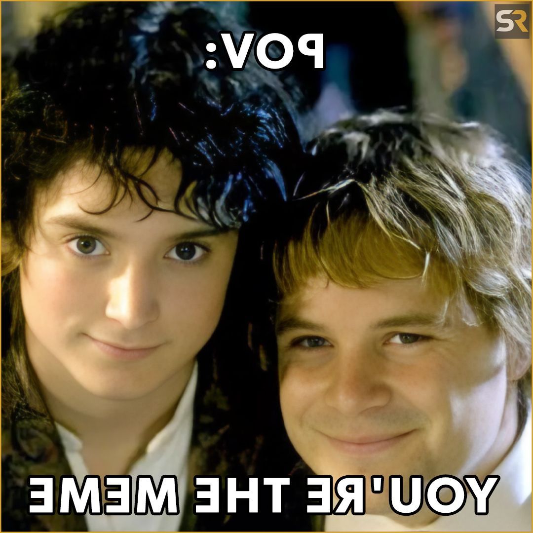 A Lord of the Rings meme where Sam and Frodo look at the camera