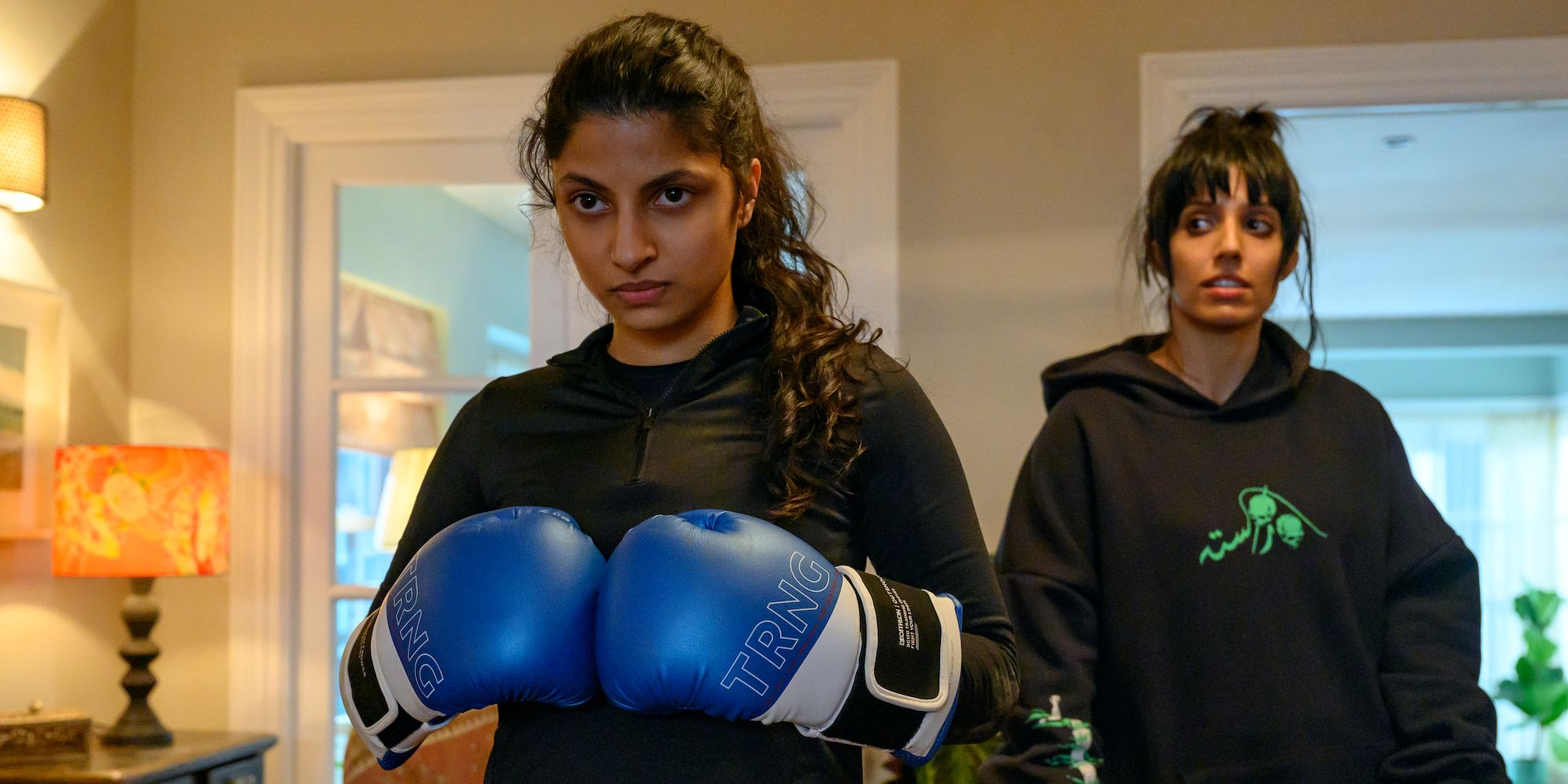 polite society synopsis