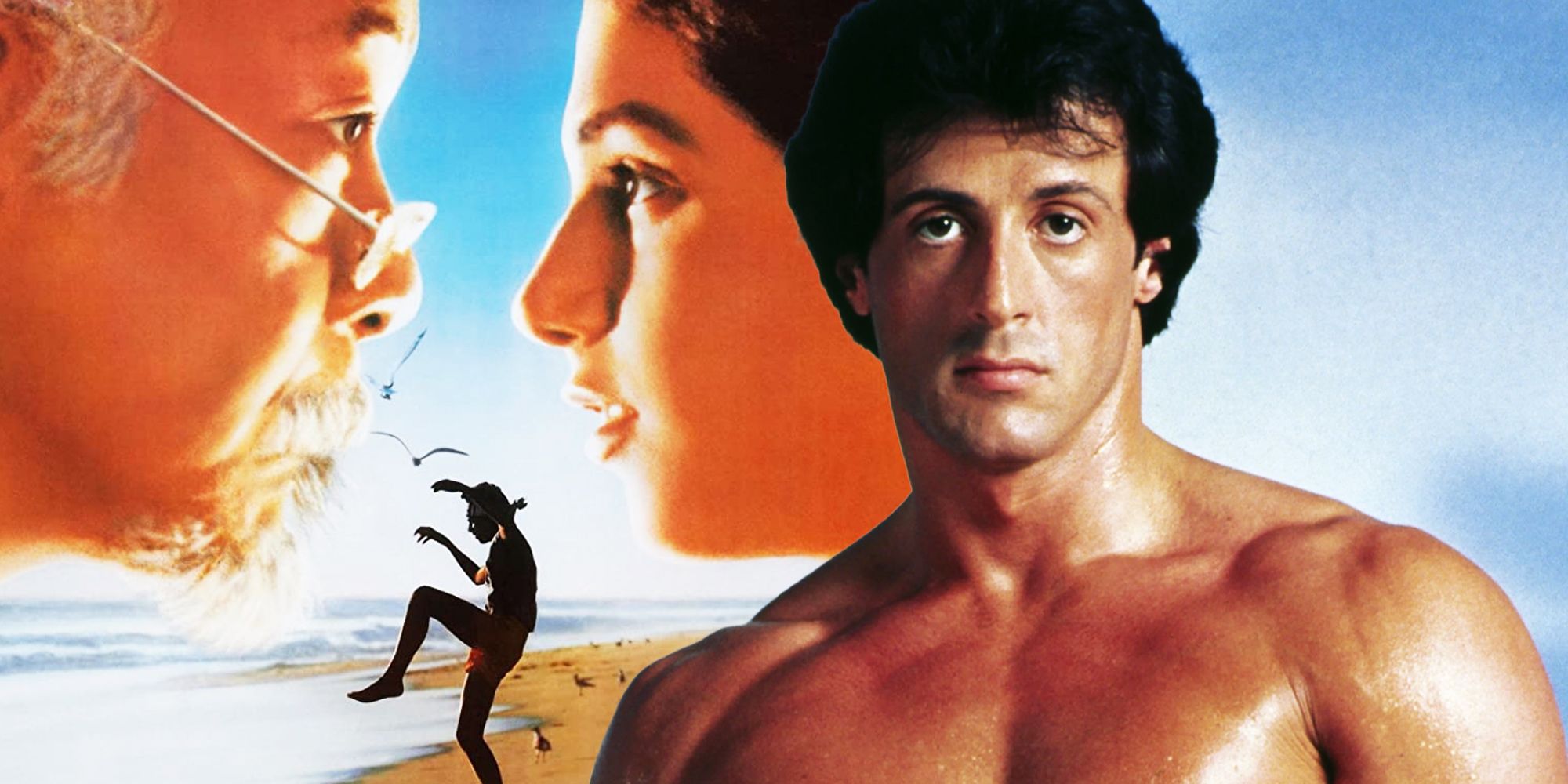Rocky and The Karate Kid poster