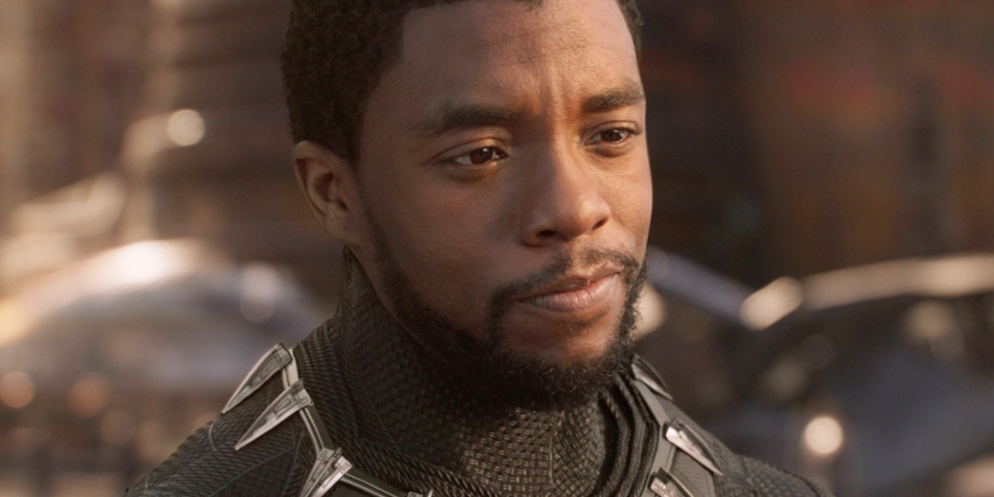 t'challa as the black panther in the mcu
