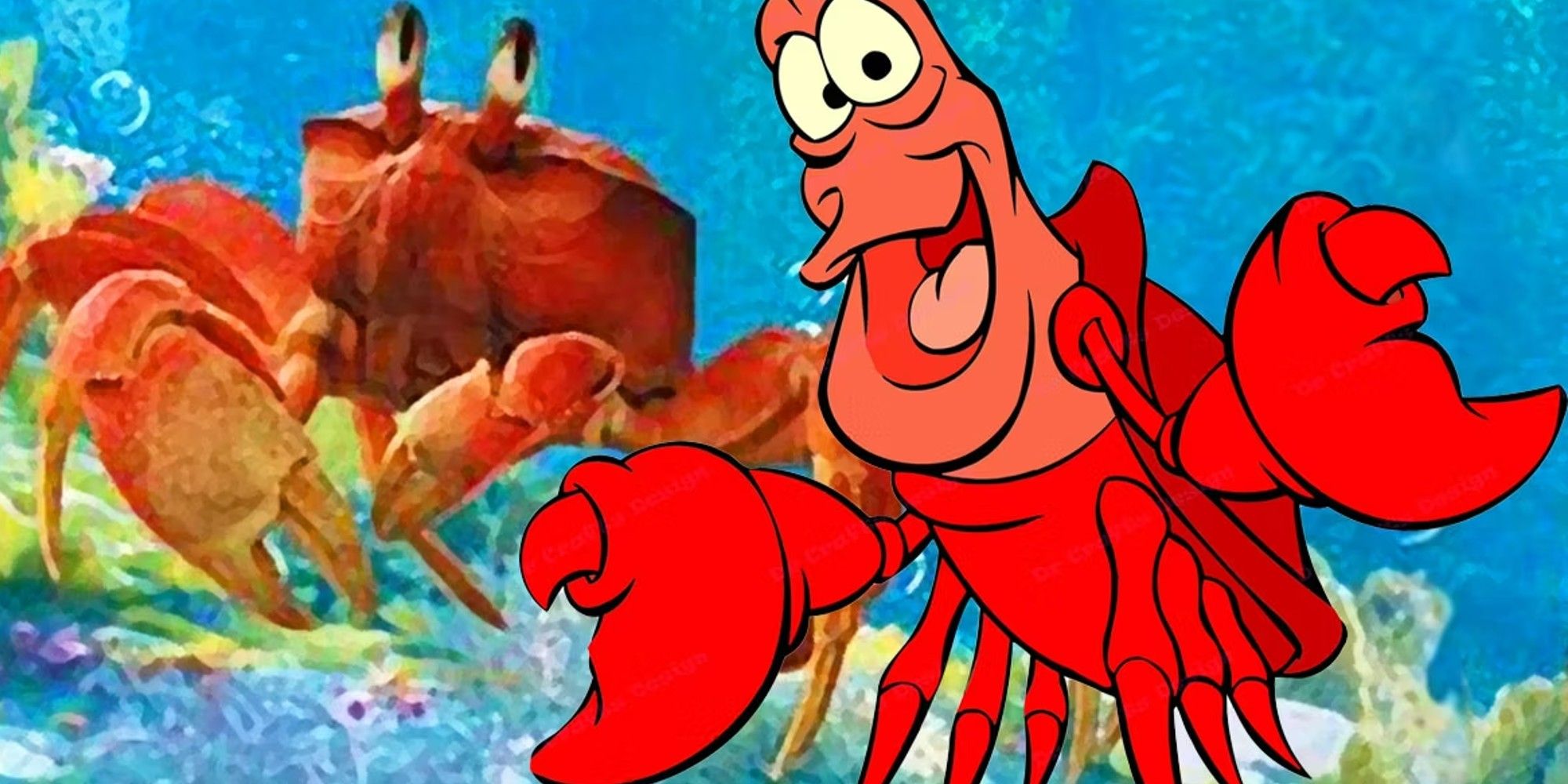 is sebastian a crab or lobster