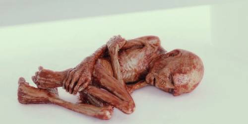 voldemort-27s_mutilated_soul.jpg