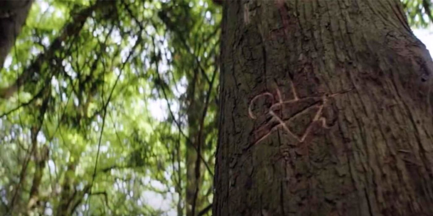Yellowjackets symbol carved into a tree