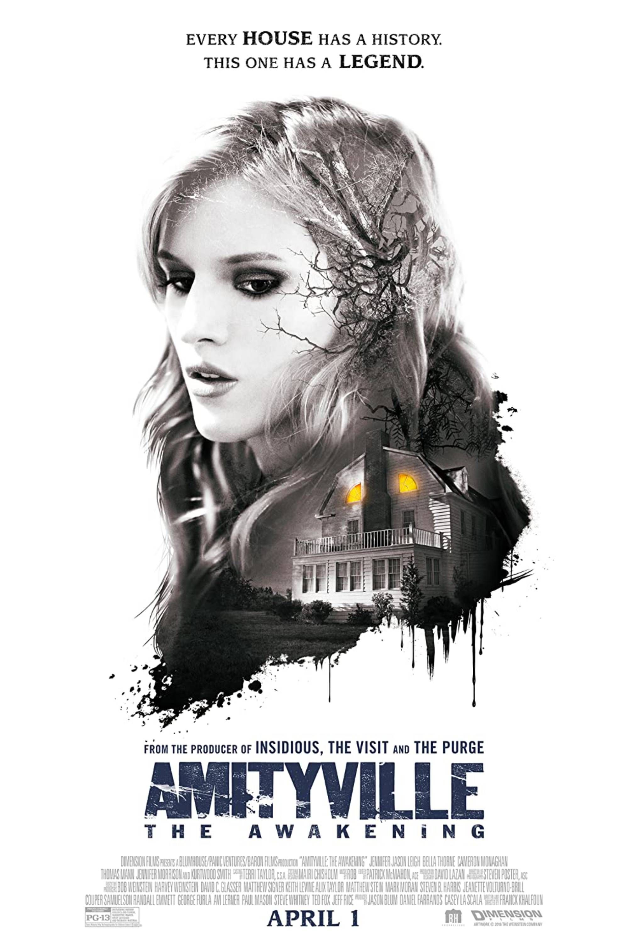 amityville the awakening poster