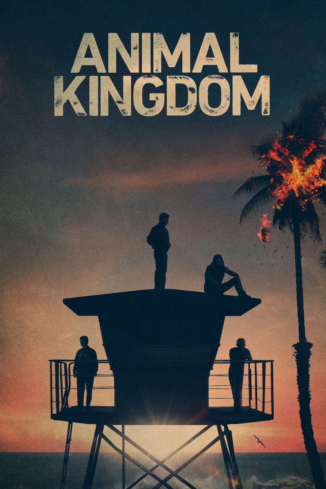 Animal Kingdom TV Poster