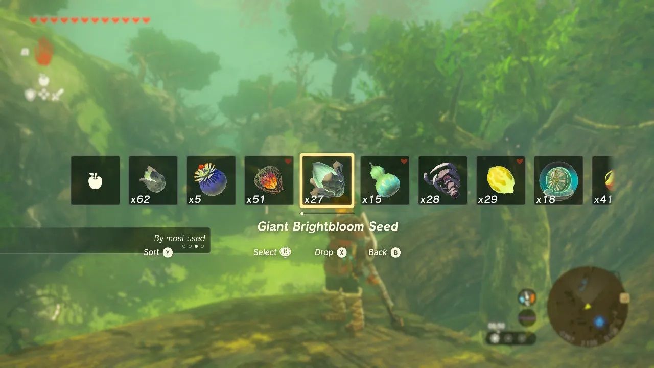 Selecting Brightbloom seeds from the Zelda: Tears of the Kingdom inventory