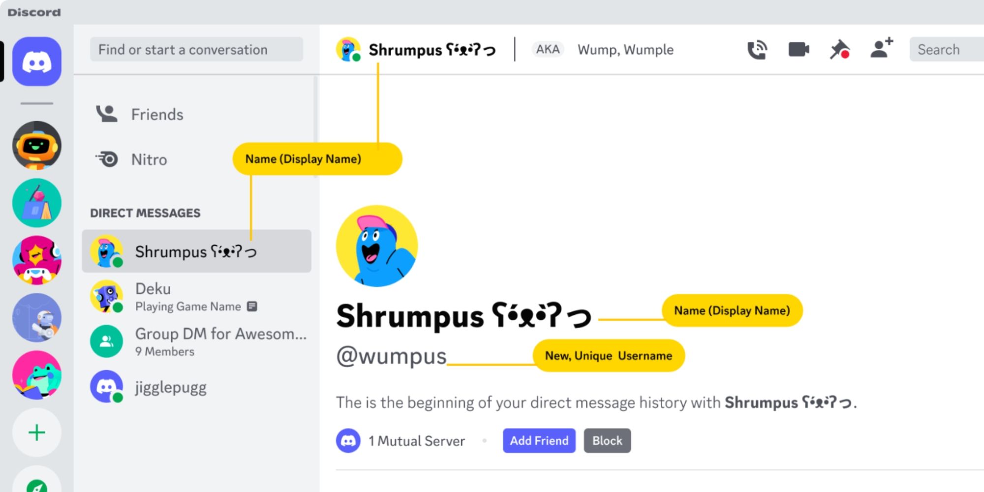 Discord's new username, display name, and server nickname