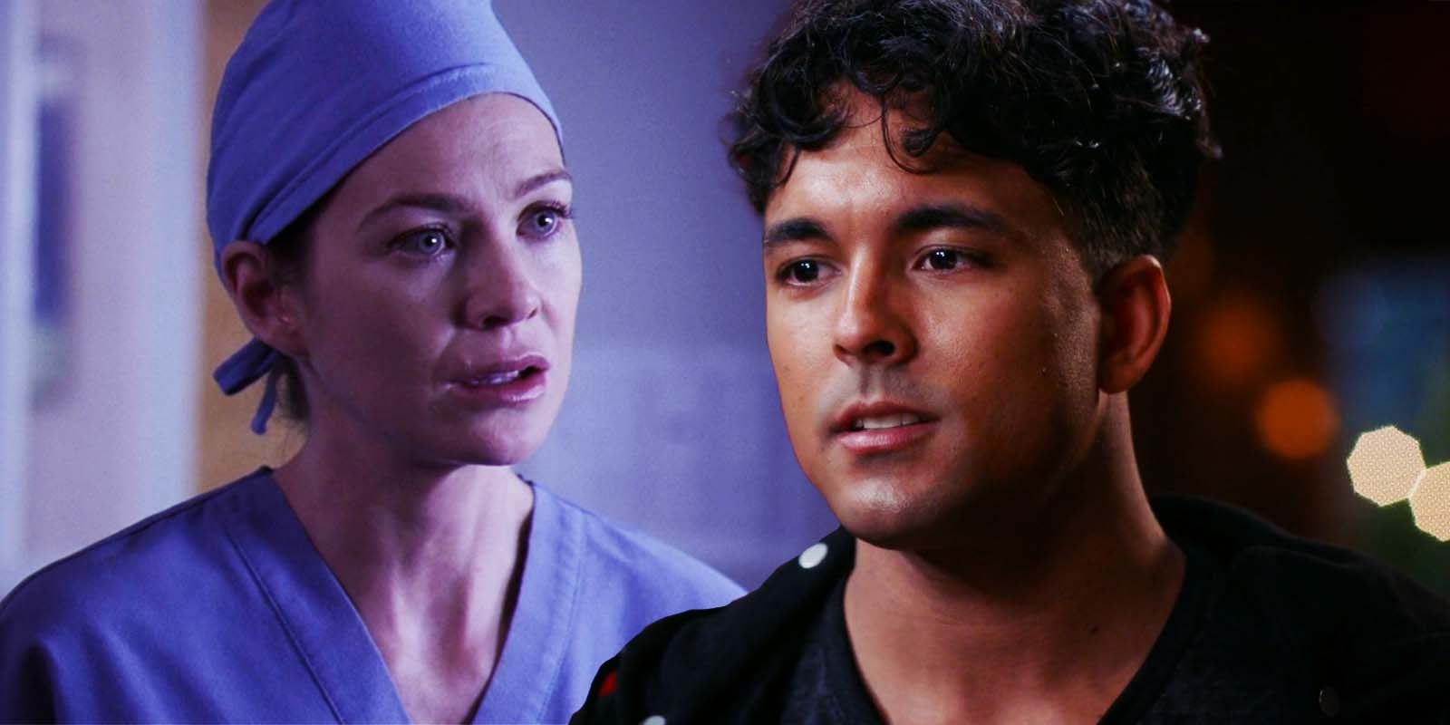 Grey's Anatomy season 20 will see at least five main cast members return