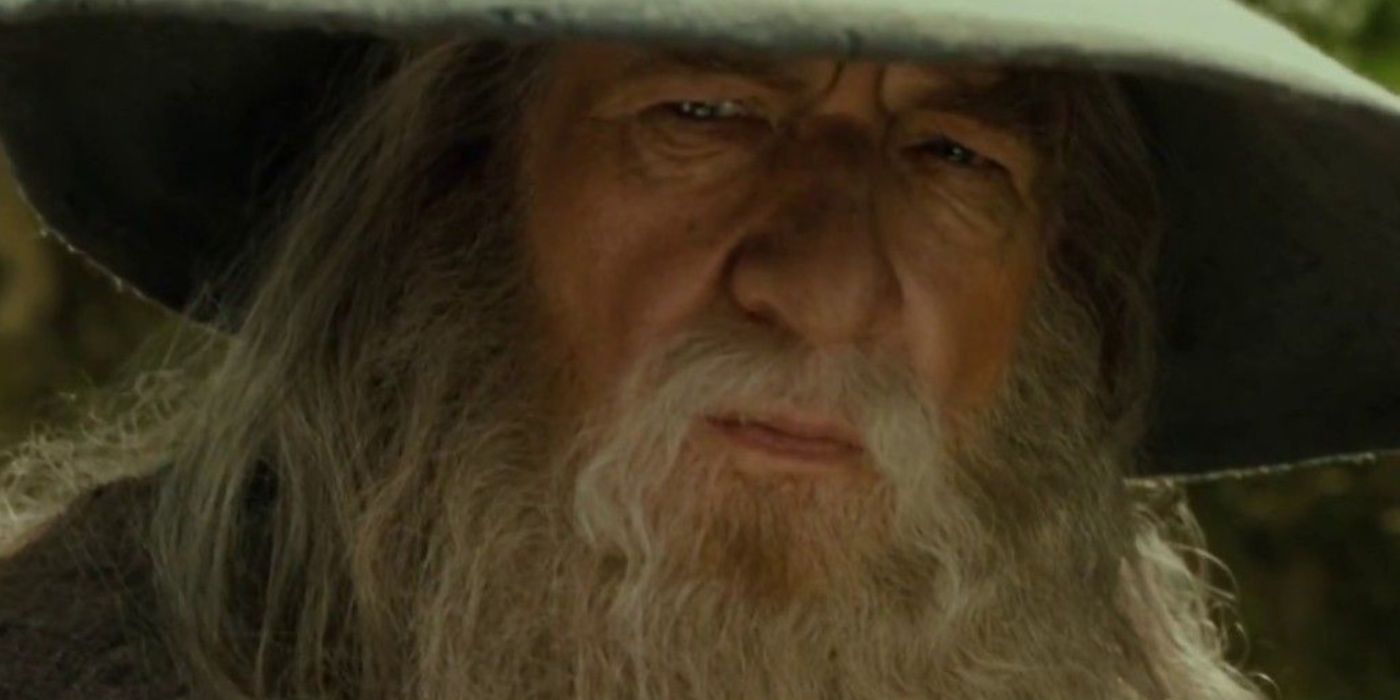 Gandalf looking at Frodo in The Lord of the Rings The Fellowship of the Ring