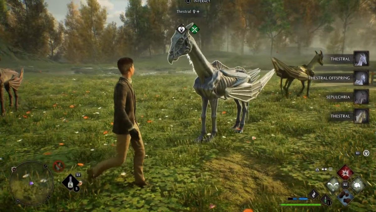 Player looking at a Shiny Thestral in Hogwarts Legacy