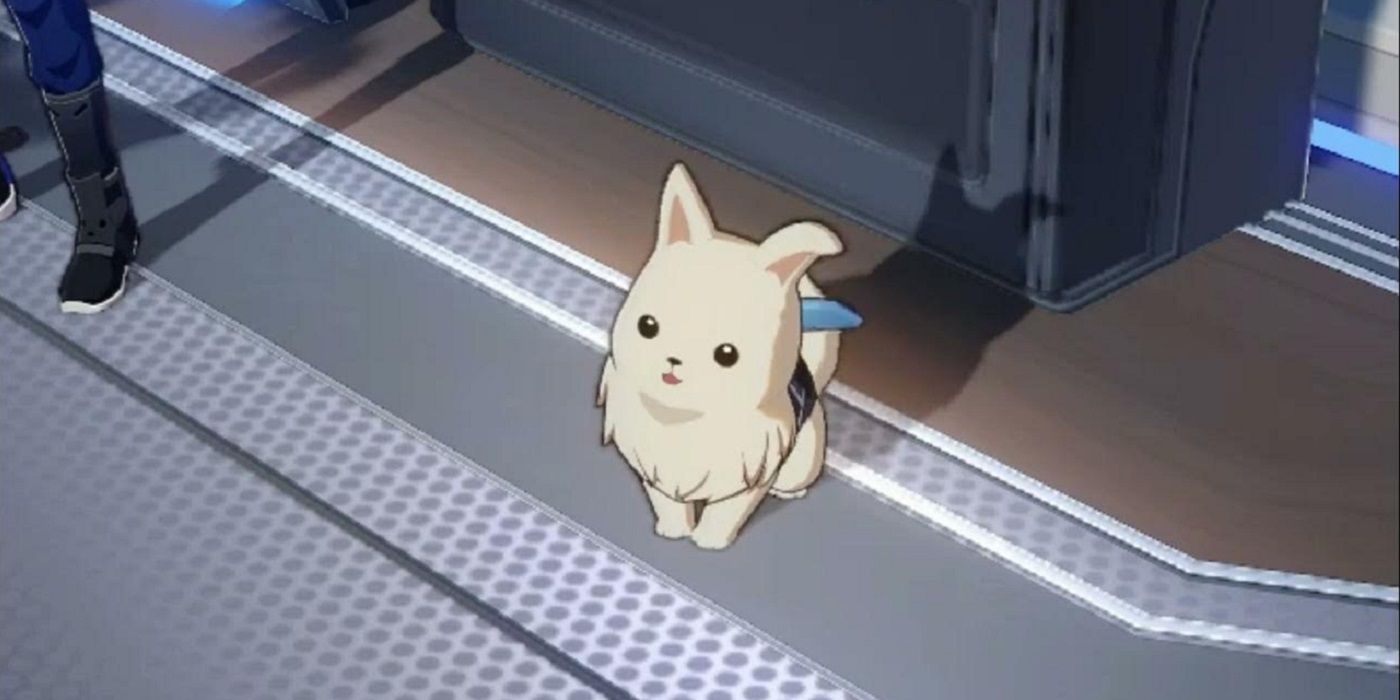 Peppy, Asta's dog, in Honkai Star Rail