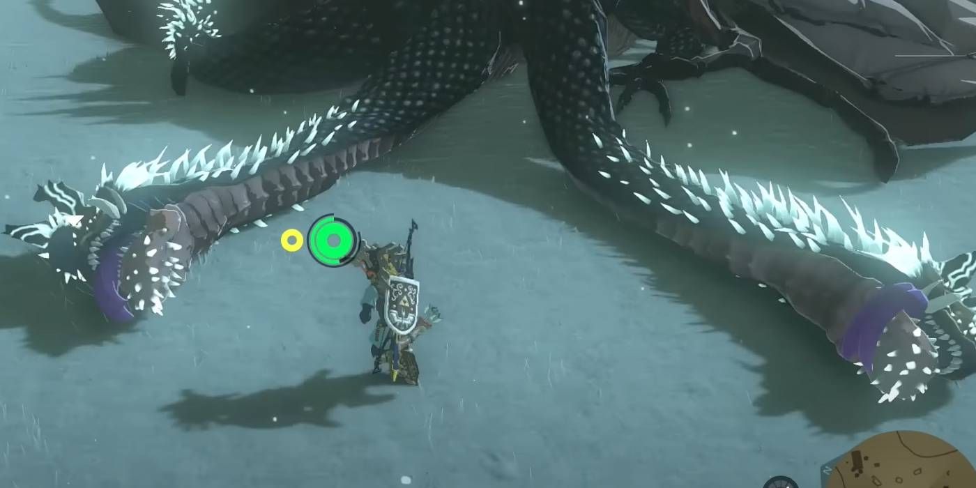 Zelda: Air Mata Kerajaan Membekukan Frost Gleeok dari Pemain Menembakkan Panah ke Mata di Tiga Kepala