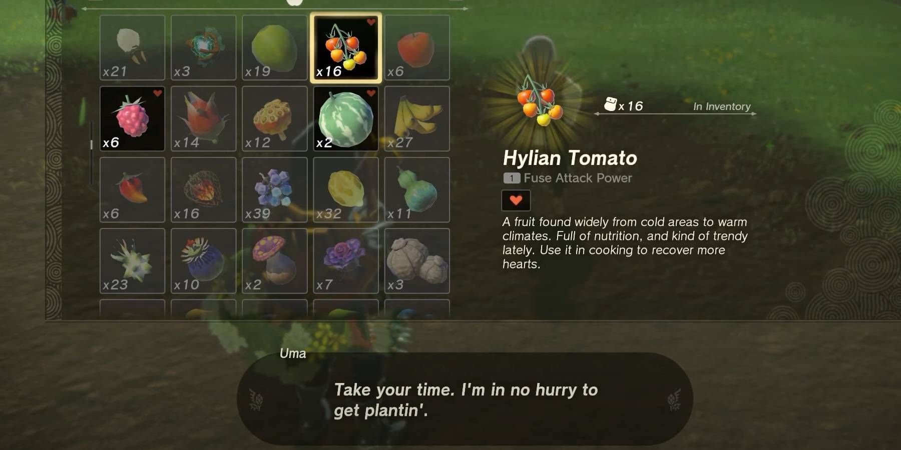 Zelda: Tears of the Kingdom Plantation de tomates hyliennes à la ferme du village de Hateno