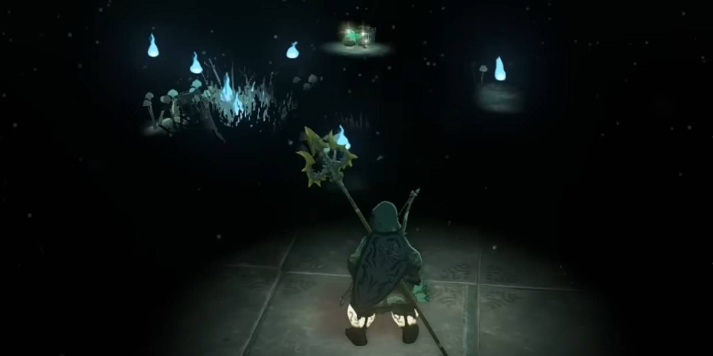 Zelda : Tears of the Kingdom Poes in the Darkness of The Depths via un lien à collectionner