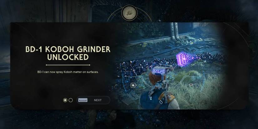 How to Use Bd1 Grinder: Ultimate Guide for Perfect Results