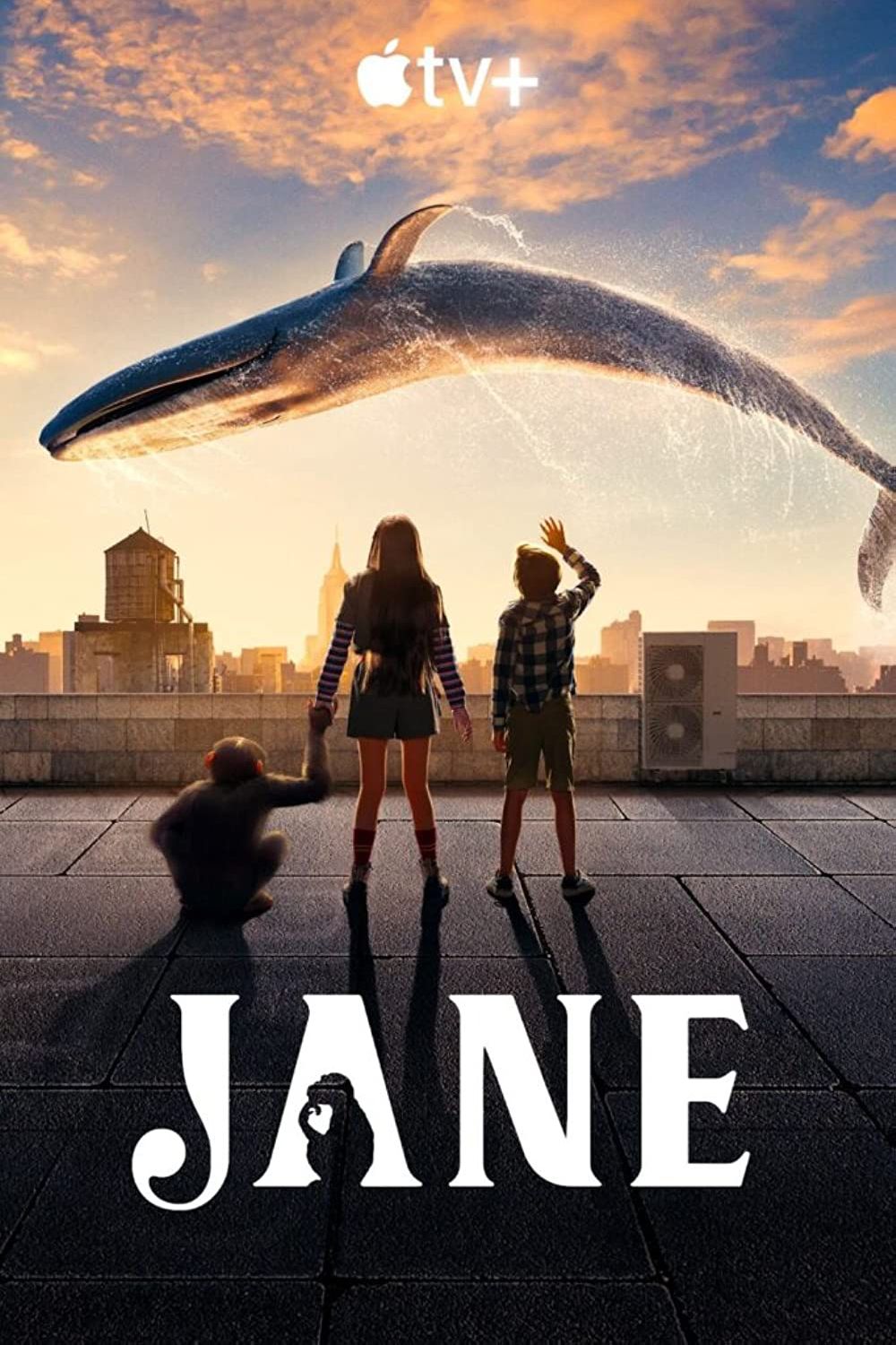 Jane TV Poster