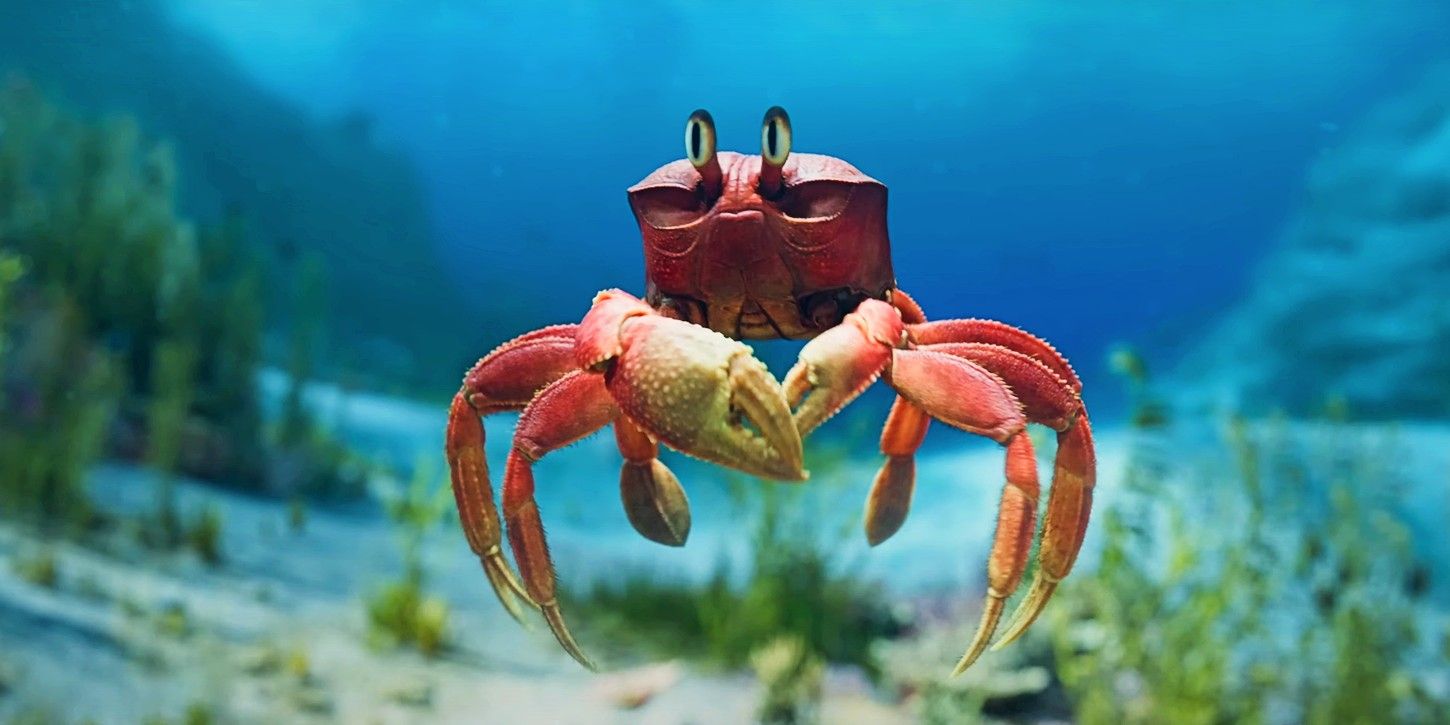 The live-action crab Sebastian floating in the water in The Little Mermaid