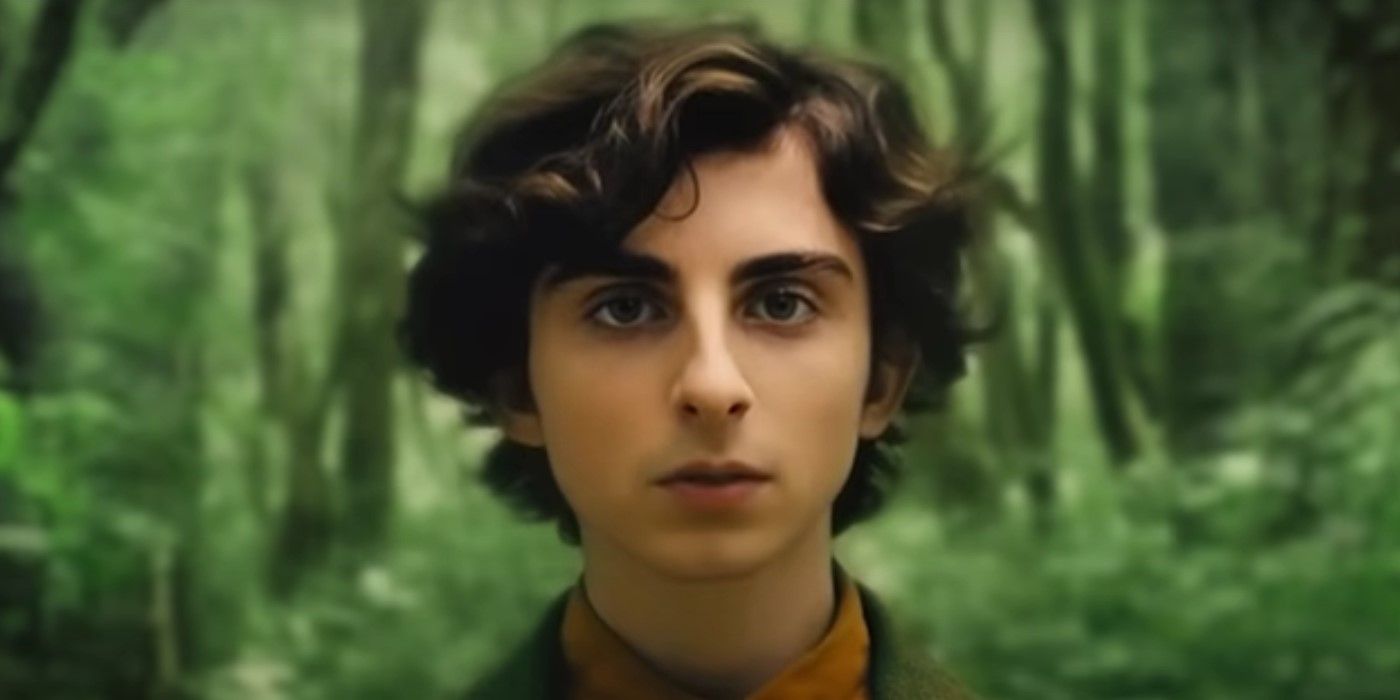 AI Turns Lord Of The Rings Movies Into Wes Anderson’s Whimsical Fellowship