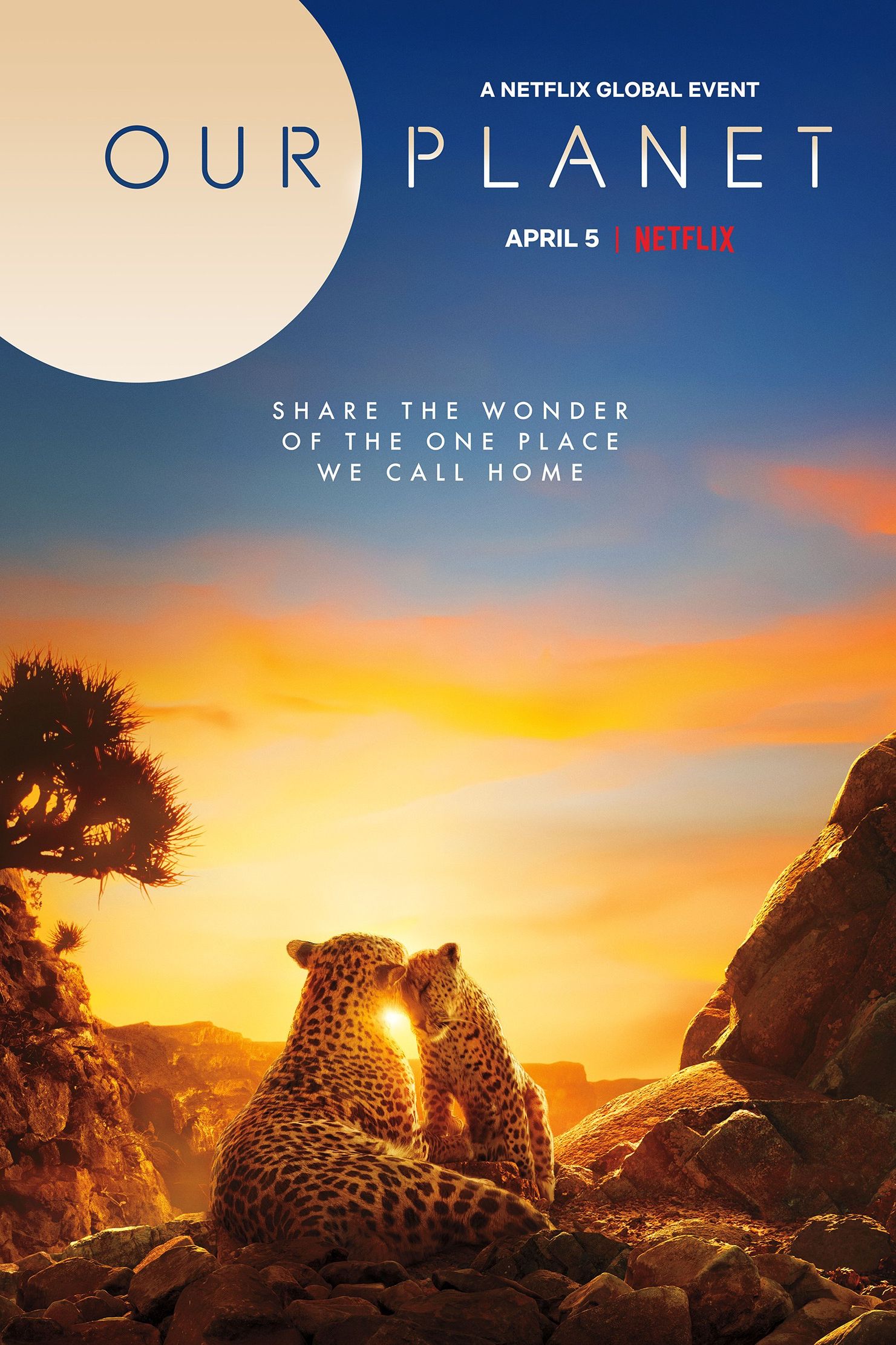 Our Planet Netflix TV Poster
