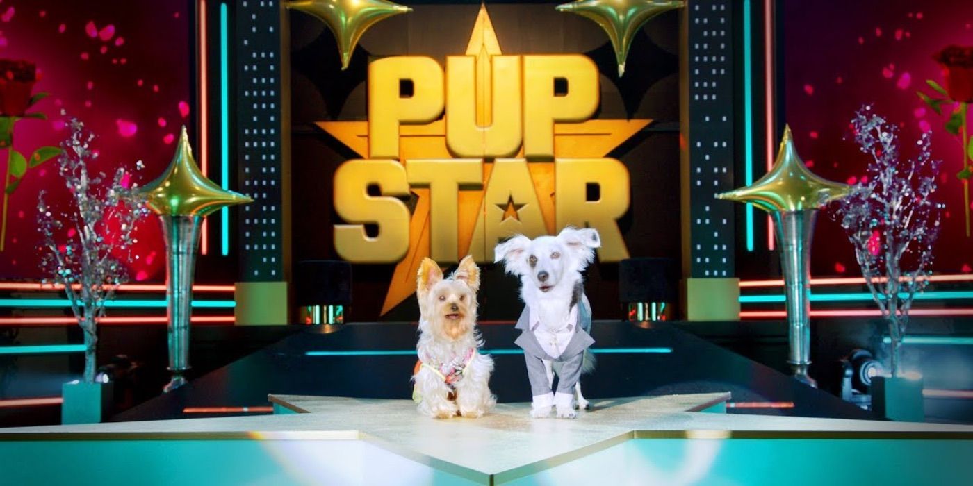 Two dogs stand on stage in Pup Star World Tour