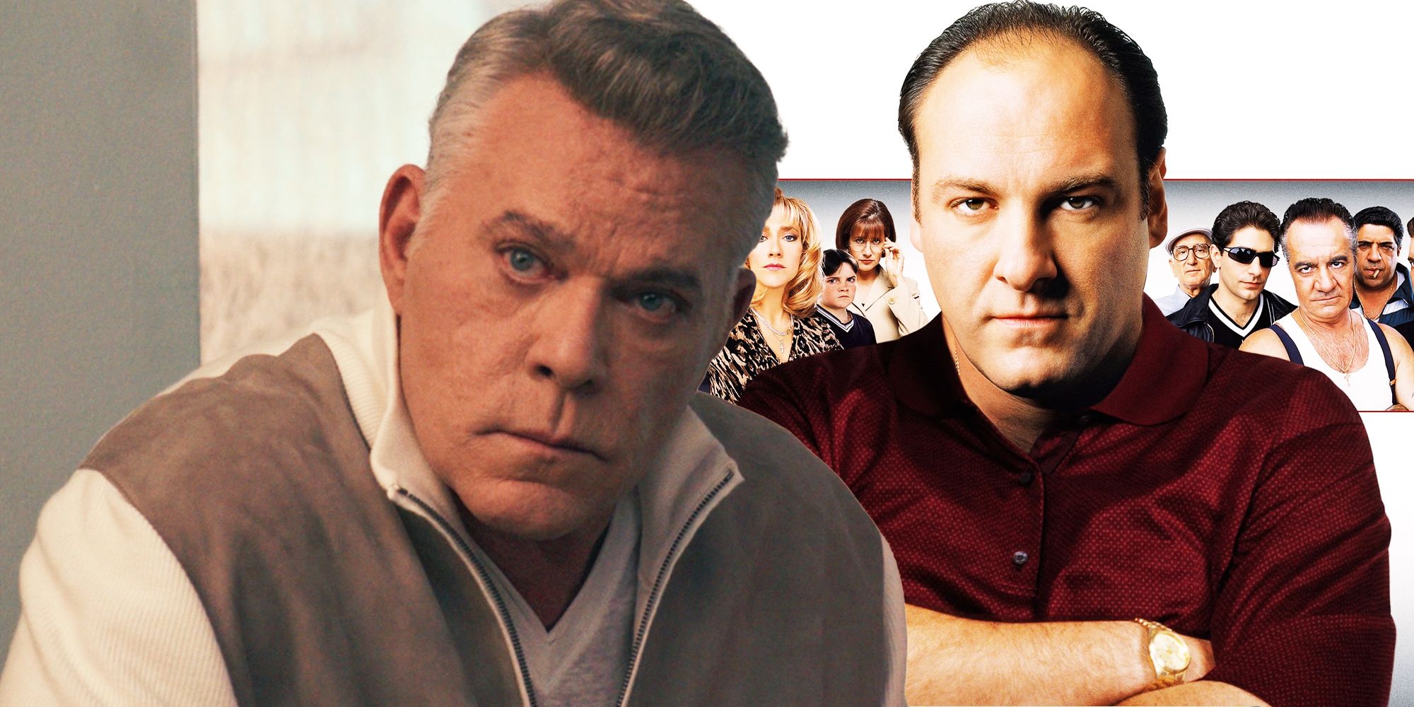 Ray Liotta and The Sopranos poster