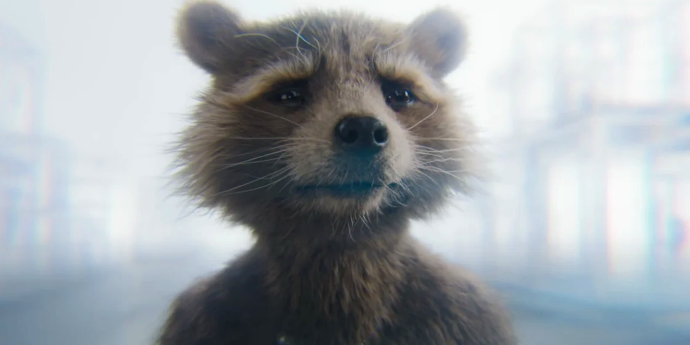 rocket in the afterlife in gotg 3